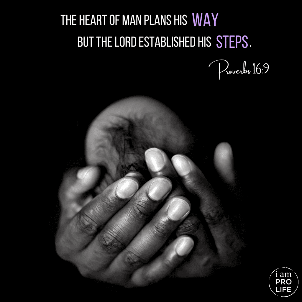 An image with a baby being help delicately with the Bible verse "The hear of man plans his way, but the Lord established his steps". - Proverbs 16:9